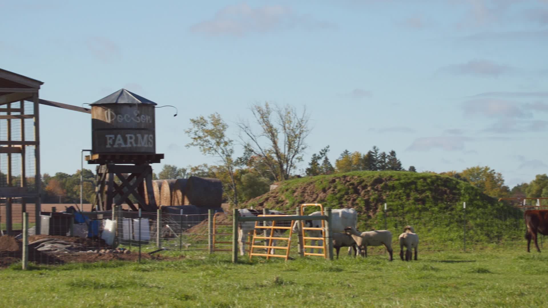 Skvělá farma doktora Pola S01E14 Polovic podnik 1080p mkv